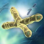 Najczęściej stosowane szkodliwe składniki kosmetyków