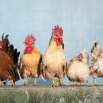 Czy prawo przyciągania działa?