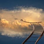 Czystek – magiczne zioło na wszystko? Właściwości i zastosowanie