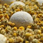 Które olejki eteryczne dobrze się ze sobą łączą …