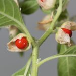 Bądź sobą – zdejmij maskę i odkryj swoją wyjątkowość