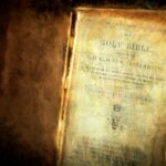 Olejki eteryczne na cztery pory życia