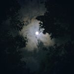 10 korzyści z olejku z kurkumy