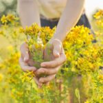 Rodzaje zabiegów aromaterapeutycznych