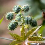 Najlepsze sposoby zapobiegania i leczenia kaca!