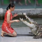 9 korzyści z olejku tymiankowego