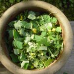 Właściwości lecznicze i zastosowania olejku różanego otto