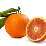 Topowe oleje nośnikowe i bazy