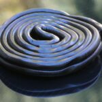 Od bólu zęba po candidę – Zastosowania olejku goździkowego i jego korzyści zdrowotne!