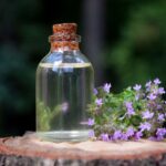 Od lawendy do trawy cytrynowej.