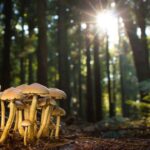 Skuteczne naturalne metody radzenia sobie z lękiem!