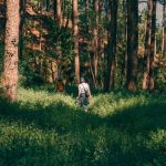 Jak korzystać z olejków eterycznych, aby poprawić swoje zdrowie i samopoczucie