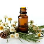 „Jak skutecznie i bezpiecznie stosować olejki eteryczne?”