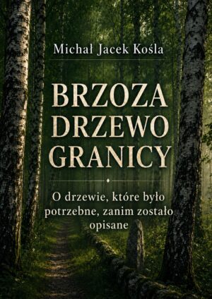 Book cover showing a forest path between birch trees, with the title Brzoza Drzewo Granicy and Polish subtitle beneath
