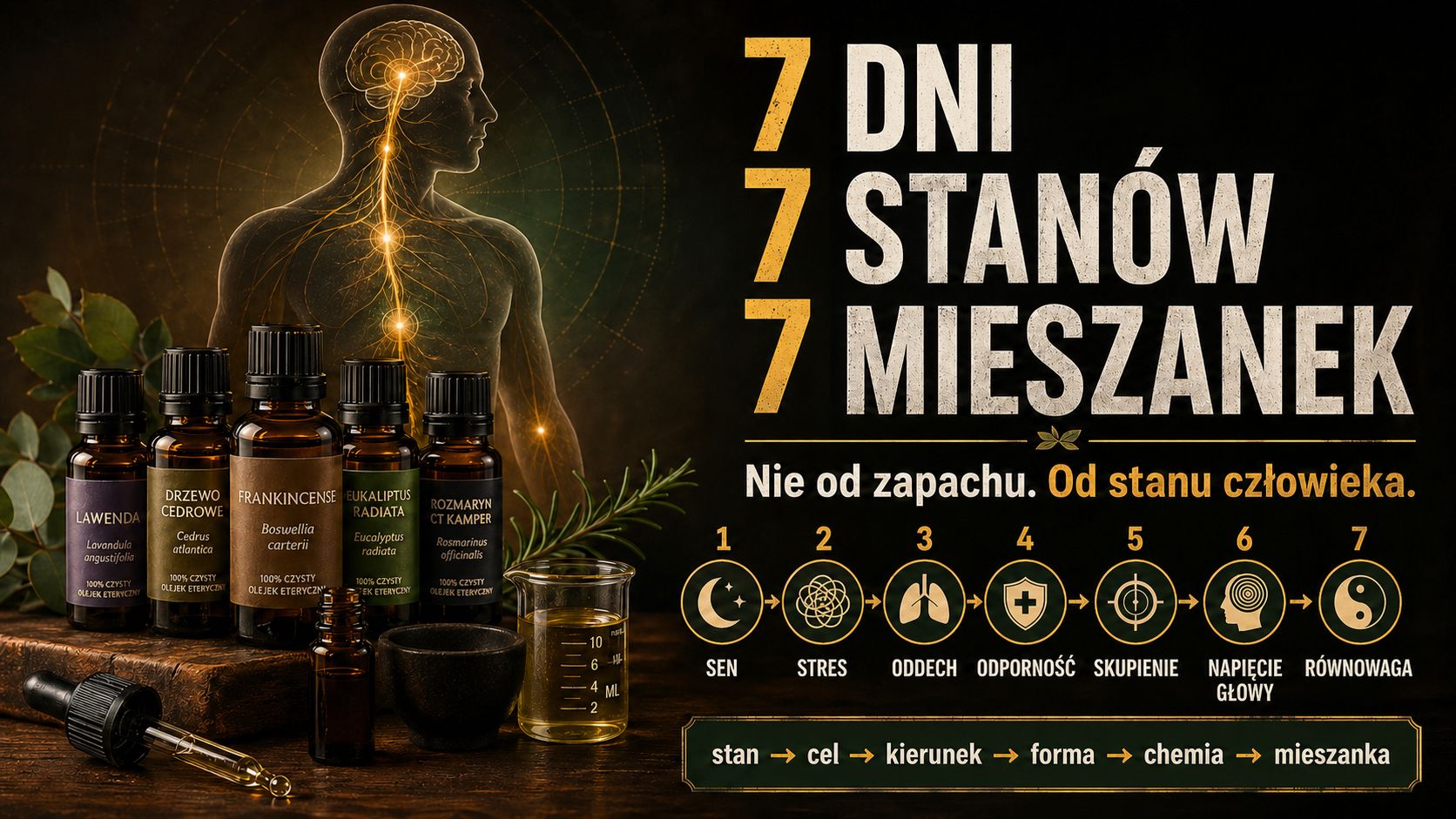 Reklamowa grafika olejków eterycznych: po lewej strony buteleczki, po prawej lista 7 stanów mieszanki (sen, stres, oddech, odporność, skupienie, napięcie głowy, równowaga).